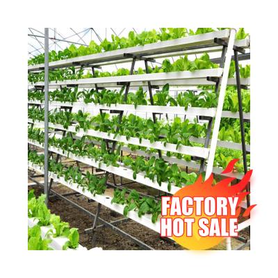 China idropon corrosion resistant direct vertical nft plant hydroponic systems for sale