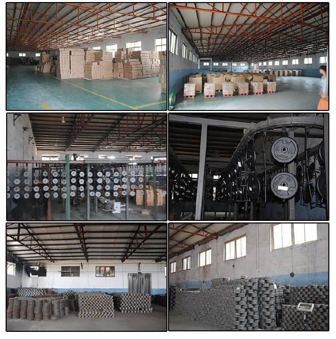 Verified China supplier - Hebei Lynnstrong Trading Co., Ltd.