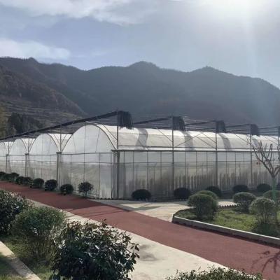 China Easily Assembled Multi Span Maintenance Cost Structure Gsw-8432 Low Cost Type Greenhouse for sale