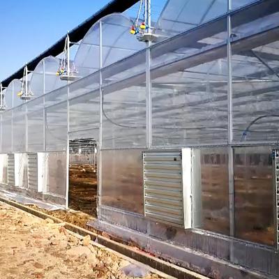 China Easily Assembled Uniform Plastic Water Flow Cooling System Garden Greenhouses for sale