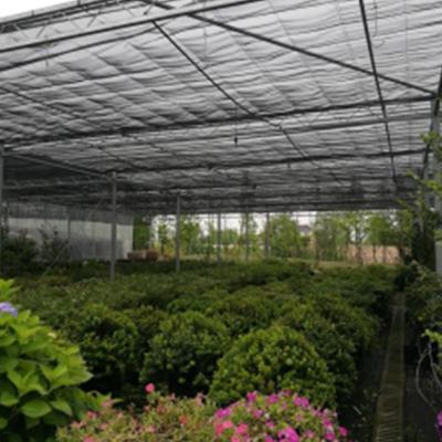 China Large Space Easily Assembled Good Environment Shade Shed Greenhouse For Fruit Growing for sale