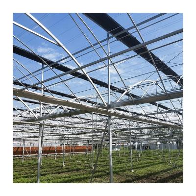 China High Performance Shading System Easily Assembled Greenhouse Other Greenhouses External Shading System for sale