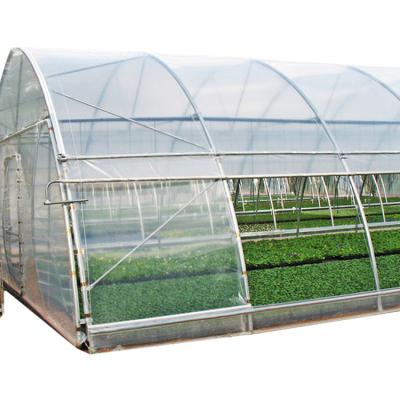 China Easily Assembled China Sells Greenhouse Thermal Shading Hydroponic Systems at a Low Price for sale