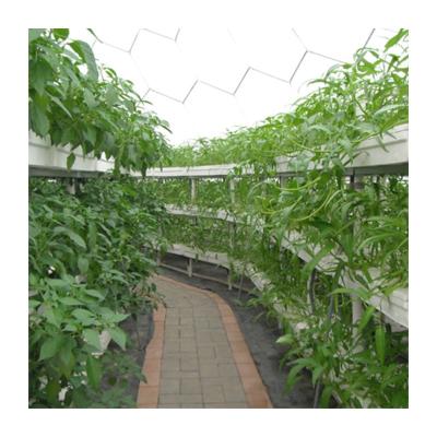 China Agricultural Good Quality Tree Irrigation System Drip Irrigation System Prices Easily Assembled Irrigation System for sale