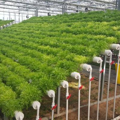 China Easily Assembled Smart And Manual Control Irrigation System Greenhouse for sale