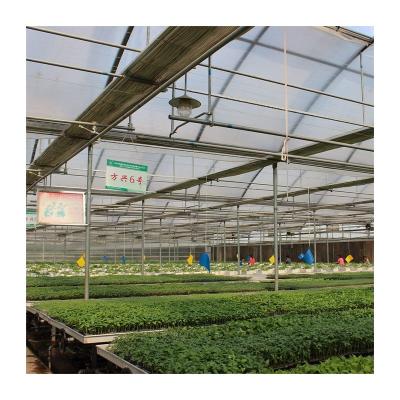 China Easily Assembled New 2021 Hot Sale Glass Greenhouse For Sale Large Greenhouse Glass Garden Glass Greenhouses for sale