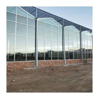 China Factory Supply Modern Glass Greenhouse Greenhouse Greenhouse Garden Easily Assembled Industrial Glass Glass for sale