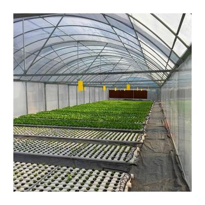 China Top Quality Widely Used Single Greenhouse Easily Assembled Tropical Greenhouse Planting Sunlight for sale