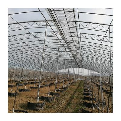 China Best Selling Goods Easily Assembled Using Simple Greenhouse Greenhouse Raise Tent Greenhouse Wind Resistant for sale