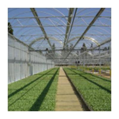 China Easily Assembled Outdoor Greenhouse Factory Supply Great Price Single Glass Greenhouse Large Greenhouses for sale