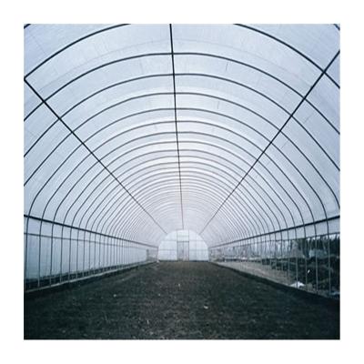 China Best Selling Products Easily Assembled Simple Greenhouse Agriculture Solar Greenhouse Solar Greenhouse Production for sale