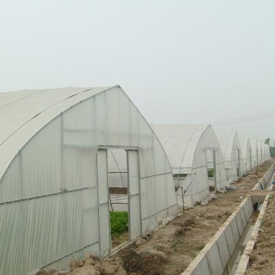 China Easily Assembled Agricultural Commercial Single Span Greenhouse With Hot Dip Galvanized Steel Pipe for sale