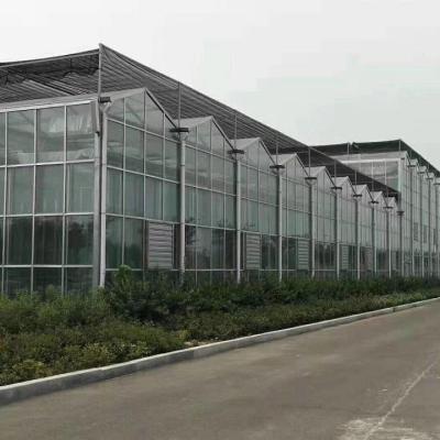 China Venlo Glass Greenhouse Glass Greenhouses For Agriculture Greenhouse Hydroponic Systems for sale