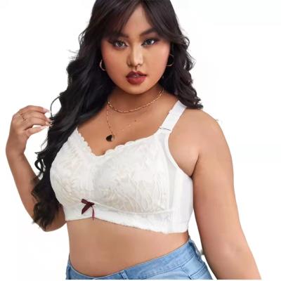 China Antibacterial Plus Size Women's Underwear Large Size Bras Plus Size Bras Contrast Lace Up Bow Decor Bra Shein for sale