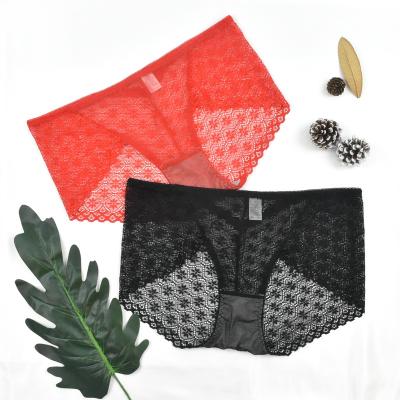 China Antibacterial Wholesale Ladies Plus Size Panties Transparent Ladies Underwear Lace Allure Panties Underwear Large for sale