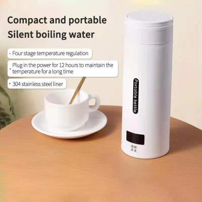 China Keep Amazon MINI Portable Electric Kettle Portable Hot Selling Heater Mug Water Tea Boiler Thermal Camper Van Designed for sale