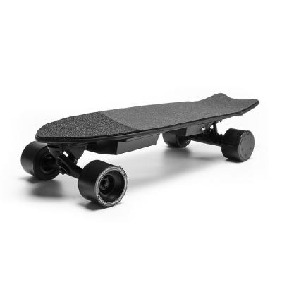 China Best Quality Adult Four Wheels Electric Skateboard Outdoor Sports Adults Skateboard Longboard for sale