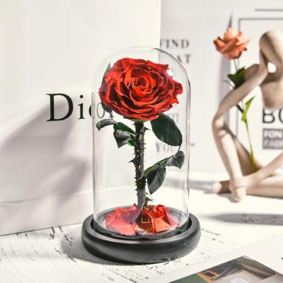 China Immortal Infinity Logo Eternal Forever Customized Durable Stabilized Rose Flower Dome Preserved Roses In for sale