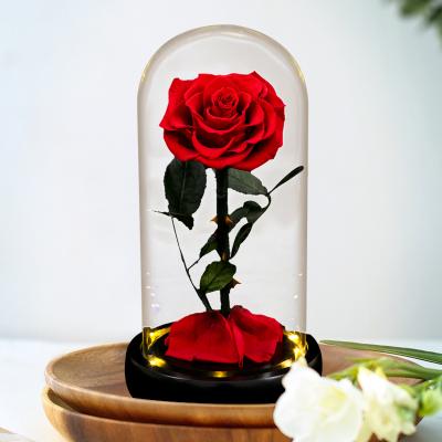 China Lasting Preserved Flower in Real Glass Dome Rose Handmade Rose Everlasting Flower Valentine's Day Gift Forever for sale