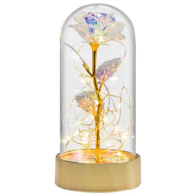 China Lasting Valentines Day Gift Mother's Day Led Forever Light Roses Forever Preserved Flower Reasonable Price Rose In Glass for sale