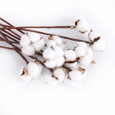 China Durable Dry Flowers Wholesale Kapok Bouquet Home Decoration Simple Head Floral DIY Accessories Soft Flower Head for sale