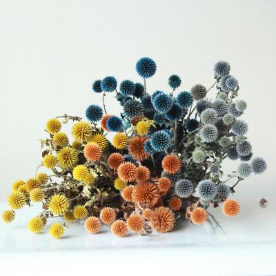 China Hot Selling Long Lasting Preserved Ball Flowers Dried Golden Balls Yellow Natural Home Decor Dried Flowers for sale