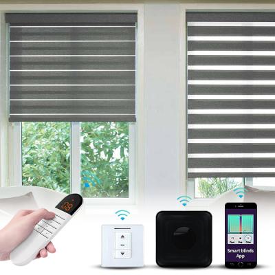 China Zebra Shade Dual Layer Treatment Privacy Light Control Minimalist Motorized Automatic Window Shades for Day and Night with Remote Control for sale