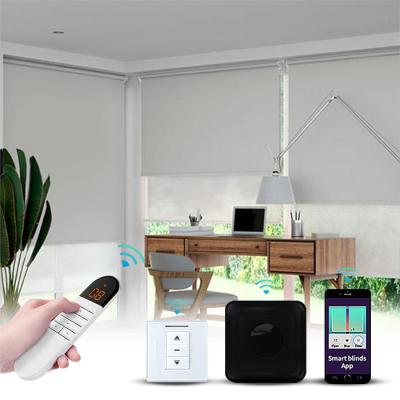 China Wholesale Minimalist City Smart Electronic Blackout Night App Control Windows Double Outdoor Roller Blinds Motorized Fabric for sale