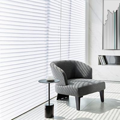 China Customized Shangri-La Size Waterproof Rope Blind Shades Light Up Windows Shangri-La Filtering Shades For Home for sale