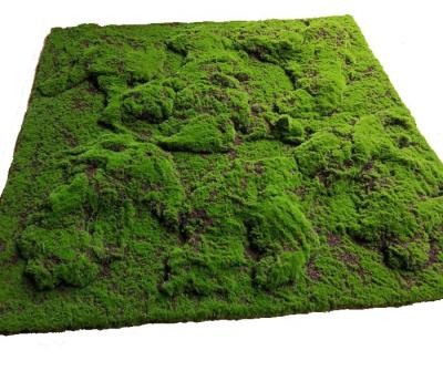 China New Design Environmental Indoor Fancy Decoration Artificial Moss Carpet Wholesale YM-CP018 for sale