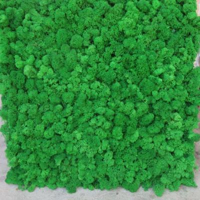 China Moss For Decoration Wall Artificial Artificial Environmental Moss Carpet Artificial Decorative Moss YM-CP028 for sale