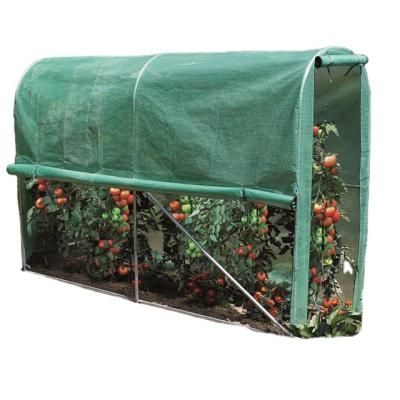 China H200*W100*L200 Easily Assembled Small Garden Greenhouse For Mill Steel Construction For Greenhouse Garden Tunnel Tomato Garden Greenhouses for sale