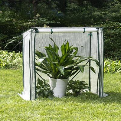 China Outdoor Easily Assembled Flower Hot Freeze Proof Succulents Greenhouses Succulents Greenhouses Nursery Insulation Shed Cover Seedling Garden Greenhouses for sale