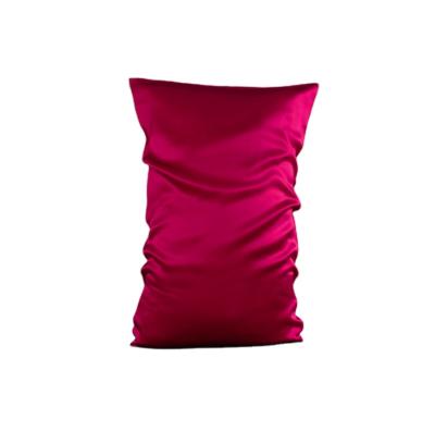 China Wholesale Non-Toxic Fast Shipping 100% Silk Pillowcase Mulberry Silk Pillow Case for sale