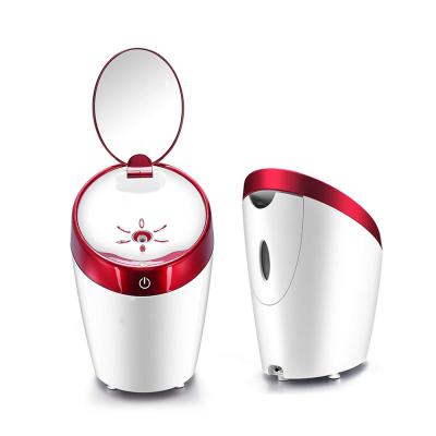 China 2021 Hot Household Spa Moisturizing Cleansing Pore Sauna Nano Ionic Facial Steamer With Mirror for sale