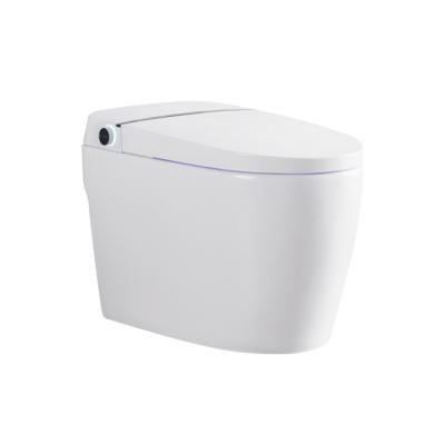 China Automatic Operation Mode Intelligent Washdown Toilet With Special Offer for sale