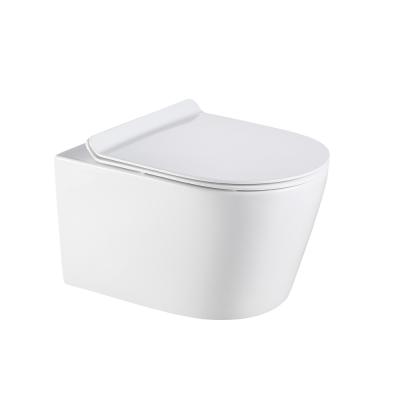 China Double-flush wall hung toilet for sale