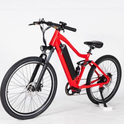 China Good Tire Aluminum Portable Big Snow Suspension Customized Electric Bike Bicycle for sale