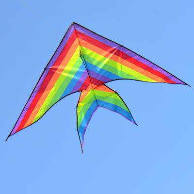 China Weifang Delta Chinese Polyester Rainbow Colorful Fish Kites Outdoor Easy Flying for sale