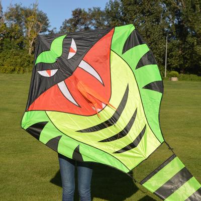 China Promotional High Quality Polyester Large Snake Kite With Long Tail Handle Line Outdoor Toys Easy Flying for sale