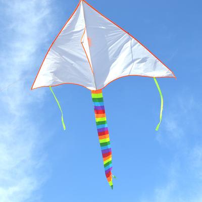 China DIY Series Outdoor Game Kite with Diamond Butterfly Fish Plane Swallow Delta Shape for sale