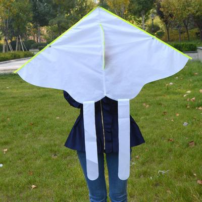 China 2020New Polyester Kids DIY Kites Easy Flying White Triangle Kite Parent-child Education Outdoor Sport Toy Gift for sale