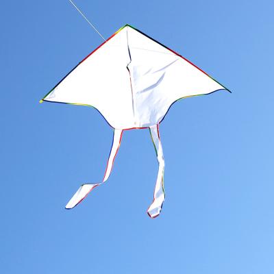 China Single polyester DIY kite for delta paint coloring kite from Weifang kangyue kite factory for sale