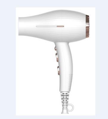 China Nylon Best performance and small light weight BLDC Motor Hair Dryer 2000W Salon blow dryer for sale