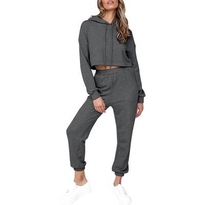 China Breathable 2Pcs Yoga Set Women Sports Wear Fitness Long Sleeve Casual Hoodie Sports Suit for sale