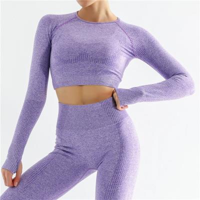 China Fitness and Yoga Wear Sports Gaiters Yoga Suit Long Sleeve Breathable Seamless Yoga Set for sale