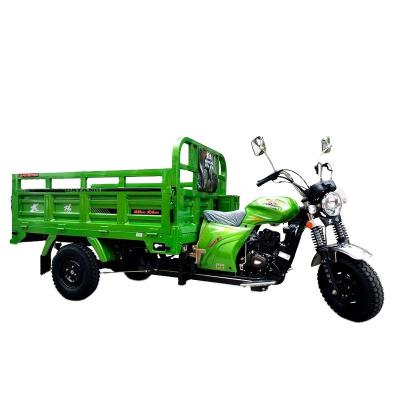 China New Cargo Safe and Reliable Hot High Horsepower Togo 150cc/250cc Gasoline Engine Cargo Tricycle for sale