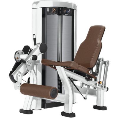 China Universal Commercial Fitness Equipment Leg Extension with Weight Stack for sale