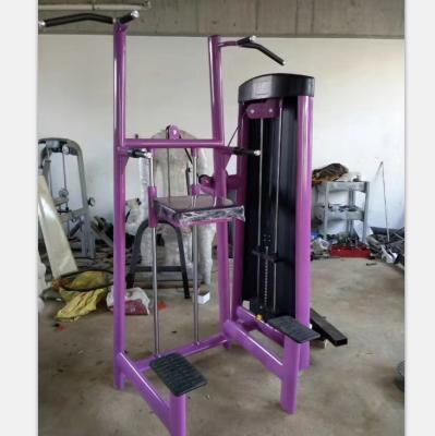 China Hot Sale Q235 Fitness Exercise Gym Equipment Chin Dip Machines UP Aid for sale