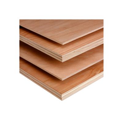 China Modern cheap commercial plywood in high quality for sale